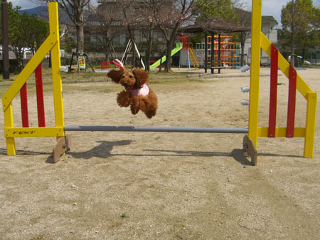c0115145_15475139.jpg