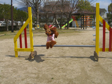 c0115145_15481243.jpg