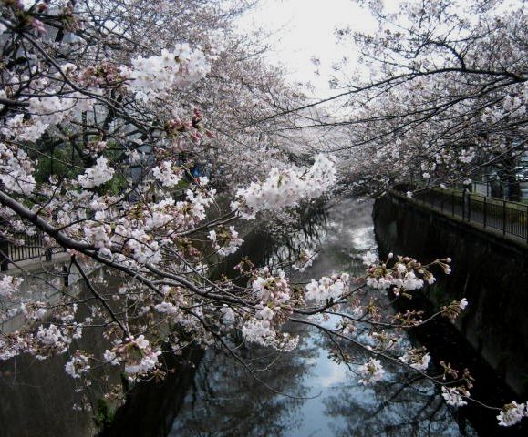 e0082045_9261515.jpg