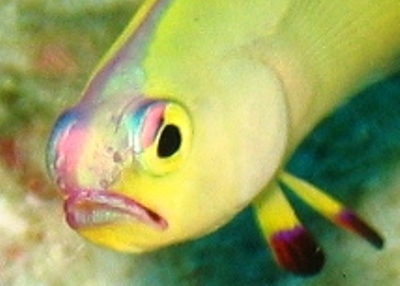 e0027447_2084037.jpg