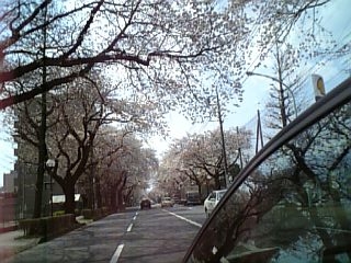 f0053847_8462243.jpg