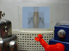 e0005548_1124883.gif