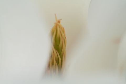 a0024250_12285998.jpg