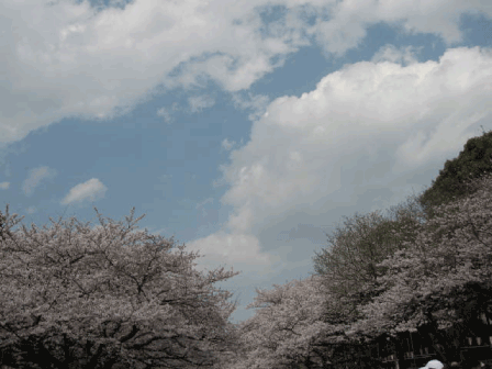f0057456_053256.gif