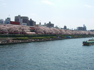 c0067464_16561297.jpg