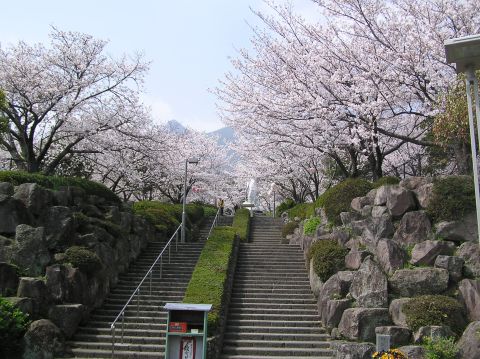 c0042869_16441876.jpg