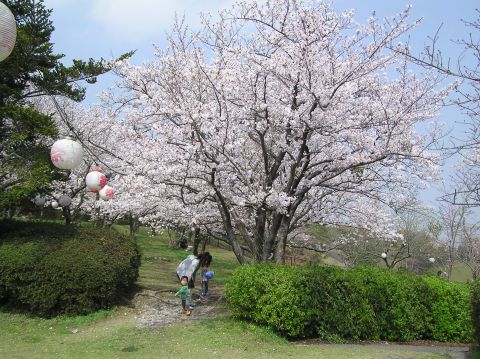 c0042869_16443292.jpg