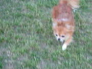 f0052071_10284695.jpg