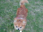 f0052071_10292529.jpg
