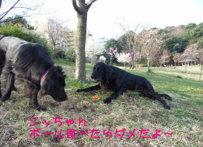 f0045283_23203478.jpg
