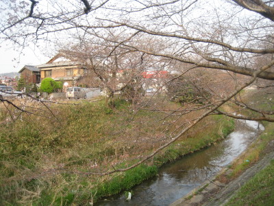 c0092787_1043154.jpg