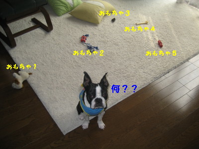 c0092787_10463947.jpg