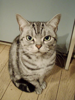 e0115791_2233772.jpg
