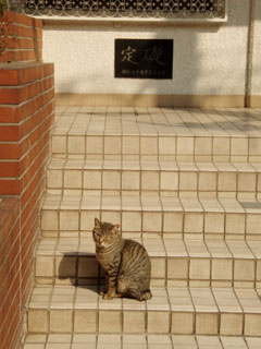 e0115791_2242229.jpg
