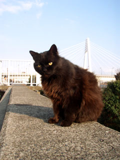e0115791_2244571.jpg