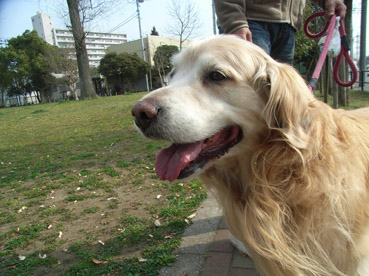 c0096393_22362752.jpg