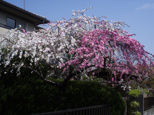 f0130894_21115959.jpg