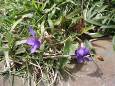 f0130894_2142321.jpg