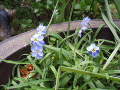 f0130894_21425467.jpg