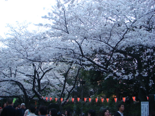 f0137694_7532567.jpg