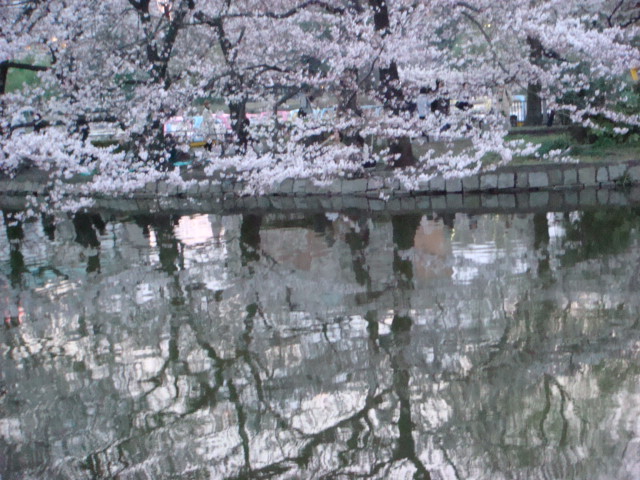 f0137694_852758.jpg