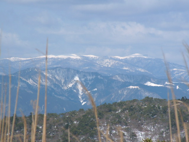 b0044296_10248.jpg