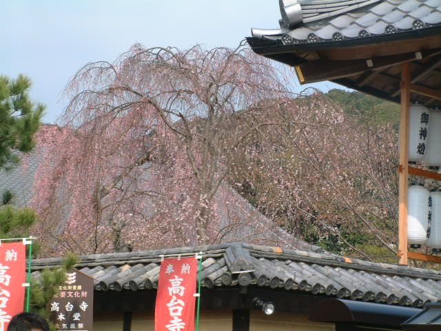 b0044296_1165520.jpg