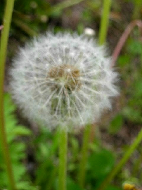 f0083400_17155425.jpg