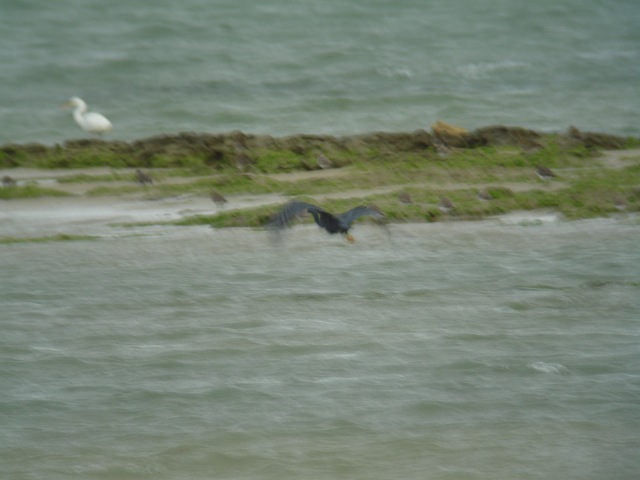 c0079001_2165569.jpg