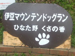 a0007906_19532634.jpg