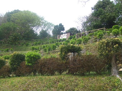 a0007906_19534042.jpg