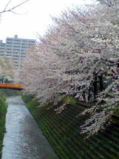 d0003116_0201949.jpg