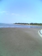 c0054118_22135100.jpg