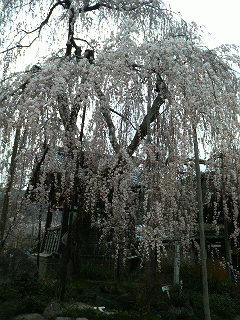 b0019820_23145289.jpg