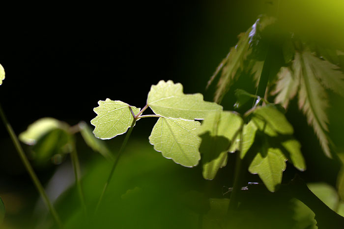 d0089024_0342427.jpg