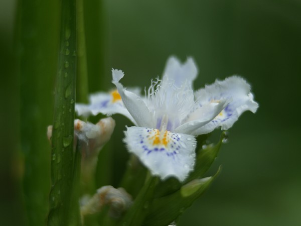 c0109827_22421453.jpg