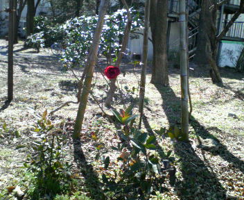 d0071228_23455898.jpg