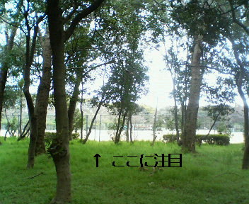 f0076529_1341919.jpg