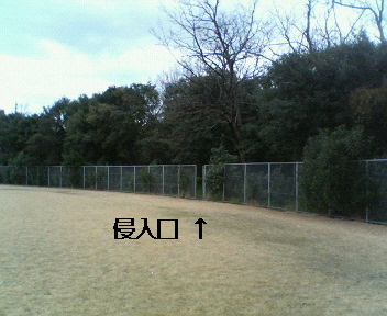 f0076529_1424911.jpg