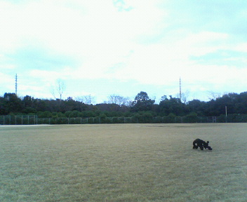 f0076529_1481015.jpg