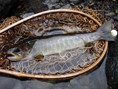 c0090530_18561586.jpg