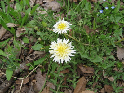 d0049630_2332128.jpg