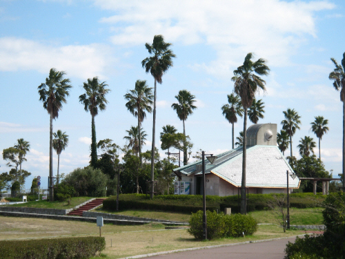 公園の中の建物を取り巻くように植えてある椰子の木。ここだけ切り取るとどこか南国の風景のようです。椰子の木が青い空に映えています。