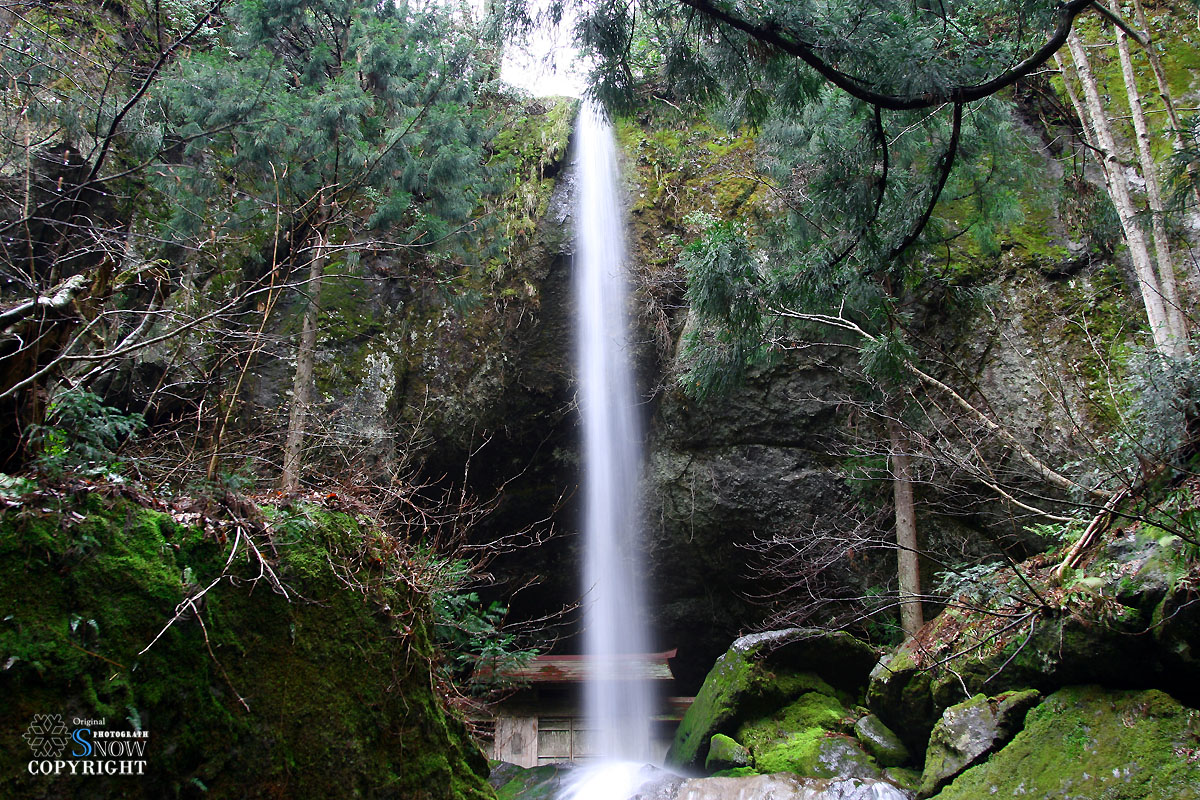 f0005935_114067.jpg