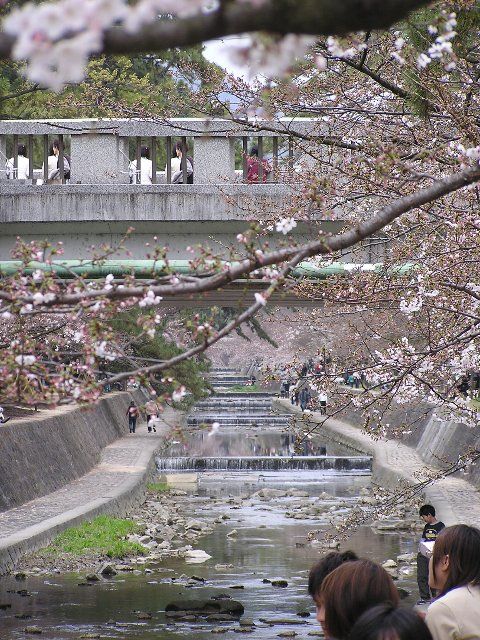 b0016836_22105987.jpg