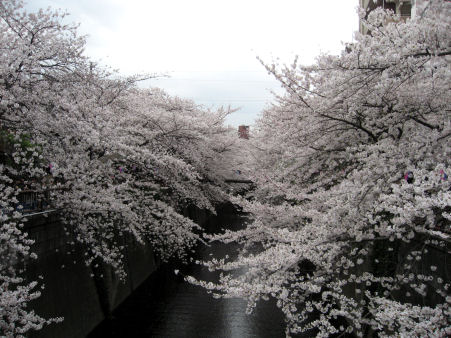 c0033145_22241995.jpg