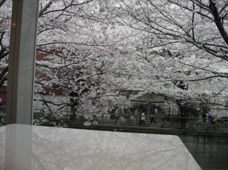 c0033145_22314076.jpg