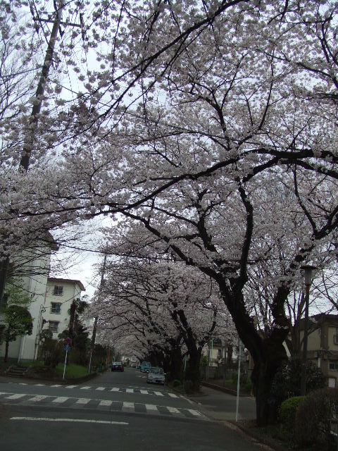 c0071545_1473631.jpg