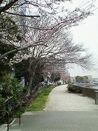 f0067245_20345166.jpg