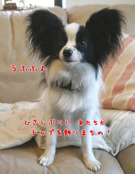d0013149_045935.jpg